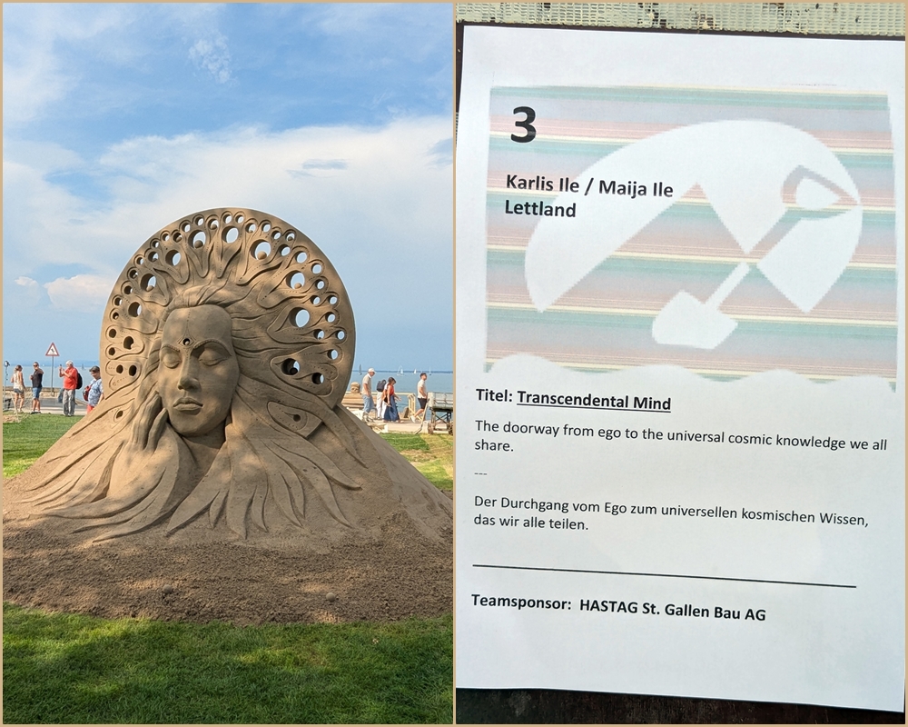 Natural Intelligence - Rorschach Sand Sculpture festival - team 3 Latvia