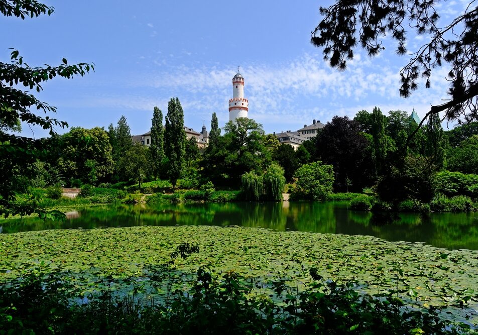 Schlosspark Bad Homburg June landscape Germany, Bad Homburg Schloss