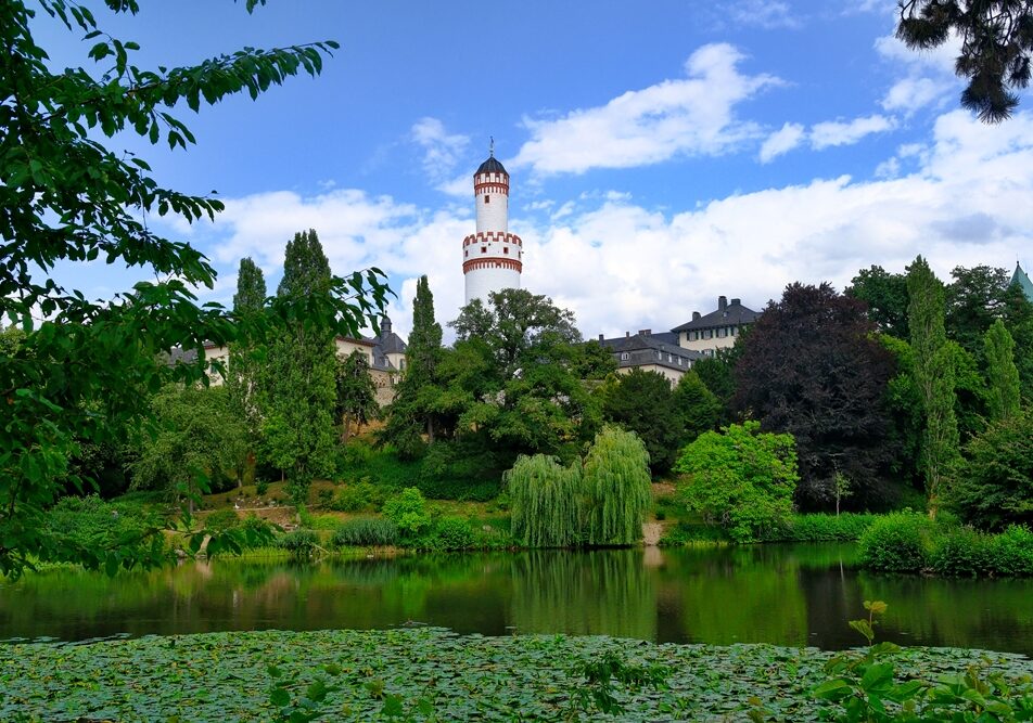 Schlosspark Bad Homburg Schloss Bad Homburg July