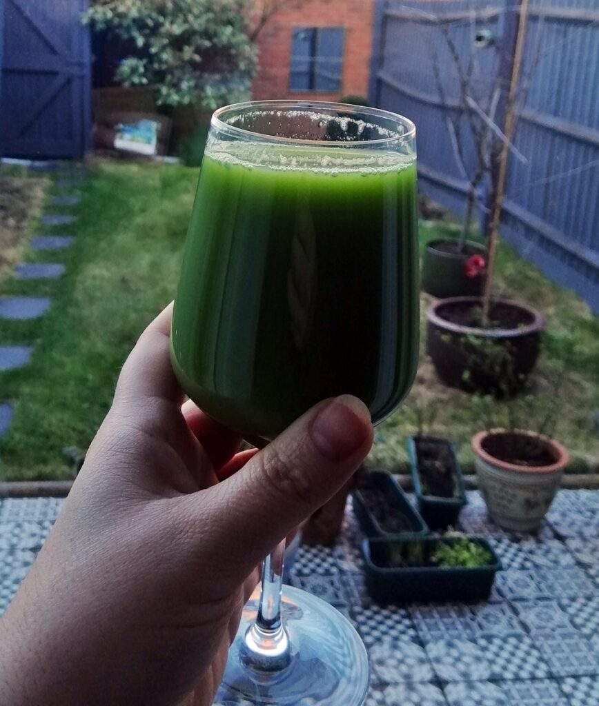 Person holding a fresh glass of vegetable green juice in front of a garden.