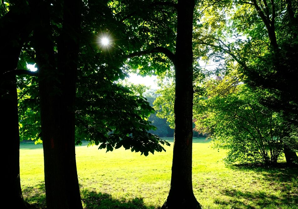 Kurpark Sunrise over landscape (symbol of renewal)