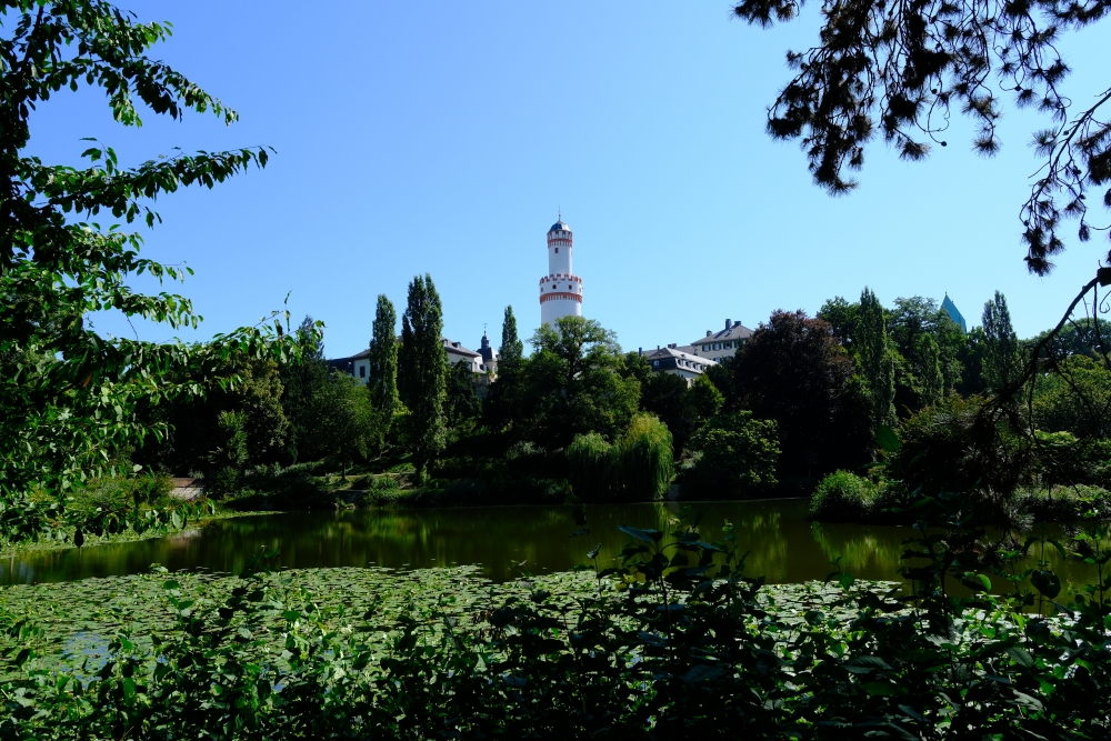 Bad Homburg Castle in August with warm late-summer light, Weißer Turm and lush Kurpark trees, photographed from the same vantage point