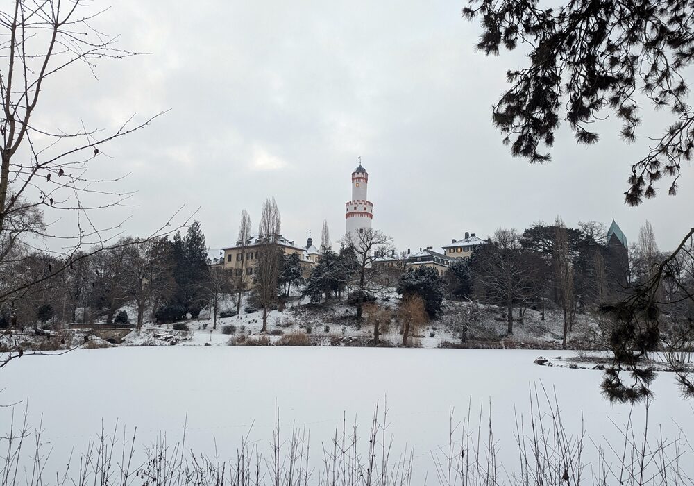 January 2026 Winter landscape, Bad Homburg Castle